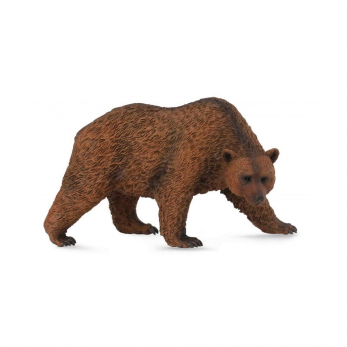 Бурый медведь