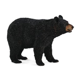Американский чёрный медведь