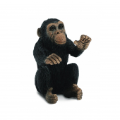 Детёныш шимпанзе