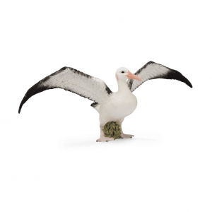 Странствующий альбатрос, блистер