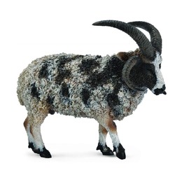 Четырехрогая овца