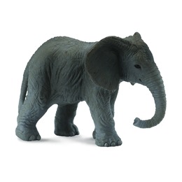 Африканский слоненок