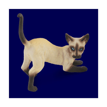 Кот сиамский, потягивающийся