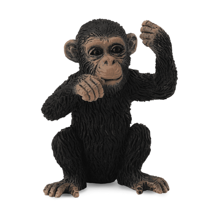 Детеныш шимпанзе
