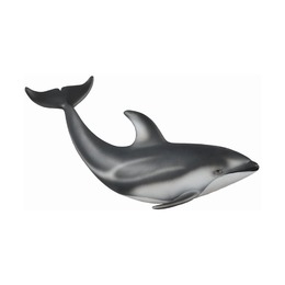 Тихоокеанский Белобокий Дельфин