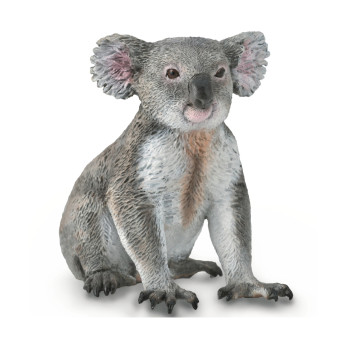 Коала